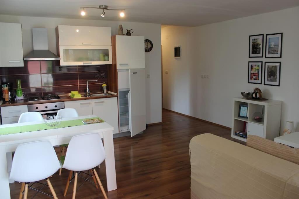 Modern Apartment In 波雷奇 外观 照片